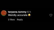 Instagram comment (Image via collegefessing)
